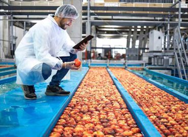 تکنسین با تبلتی که کنترل کیفیت تولید میوه سیب در کارخانه فرآوری مواد غذایی را انجام می دهد.