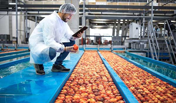 تکنسین با تبلتی که کنترل کیفیت تولید میوه سیب در کارخانه فرآوری مواد غذایی را انجام می دهد.