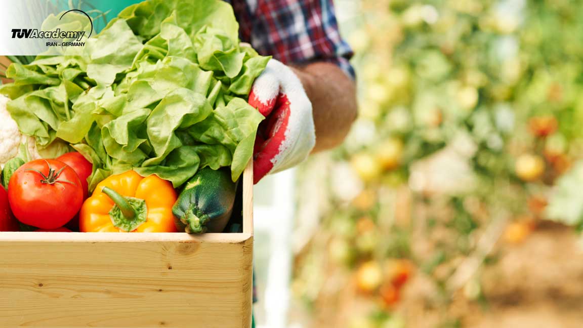خدمات مدیریت ایمنی و کیفیت محصولات کشاورزی و مواد غذایی