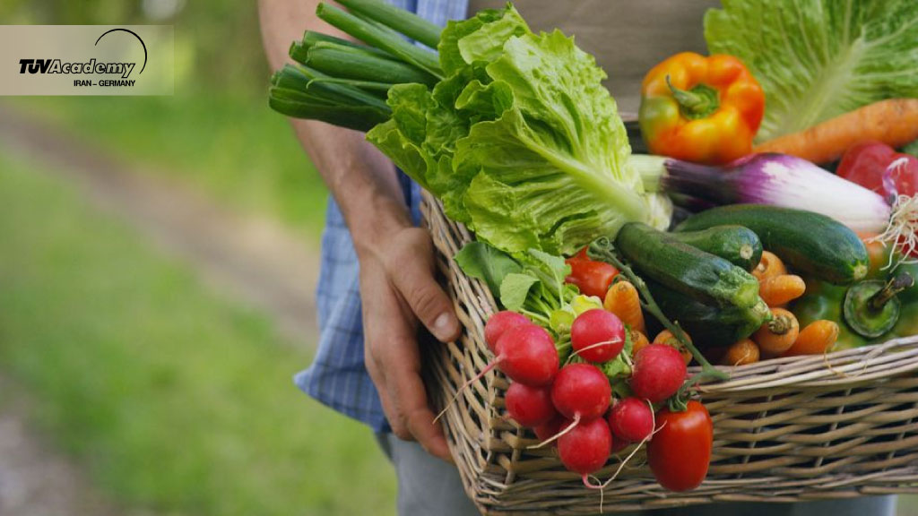 از مزرعه تا سفره: نقش حیاتی استاندارد ISO 22000 در تضمین ایمنی مواد غذایی